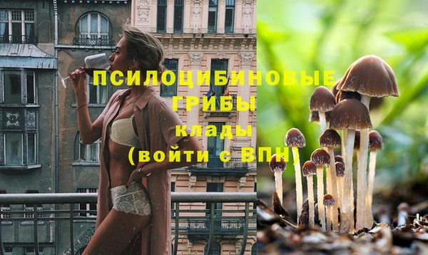 тгк Володарск