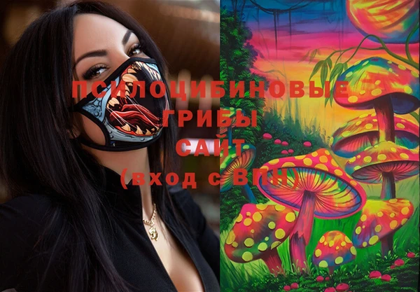 mdpv Семикаракорск