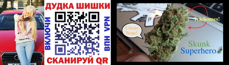 где можно купить наркотик  мориарти формула  Бошки марихуана Bruce Banner  Искитим 